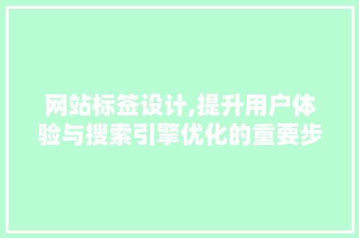 网站标签设计,提升用户体验与搜索引擎优化的重要步骤 前端技术