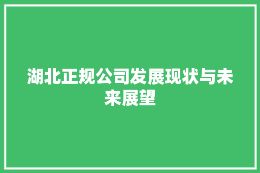 湖北正规公司发展现状与未来展望