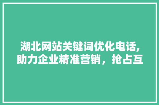 湖北网站关键词优化电话,助力企业精准营销，抢占互联网市场先机