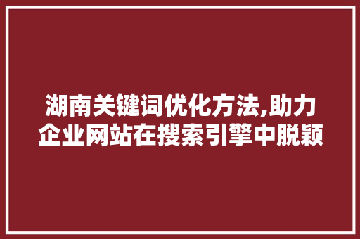 湖南关键词优化方法,助力企业网站在搜索引擎中脱颖而出