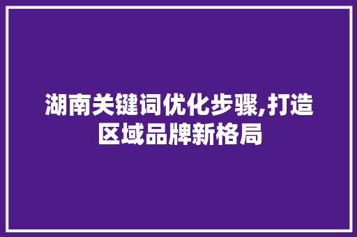 湖南关键词优化步骤,打造区域品牌新格局