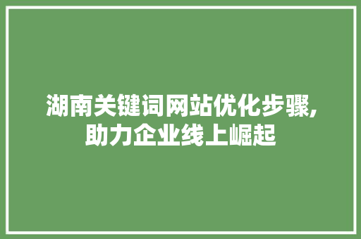 湖南关键词网站优化步骤,助力企业线上崛起