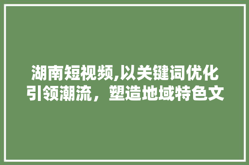 湖南短视频,以关键词优化引领潮流，塑造地域特色文化