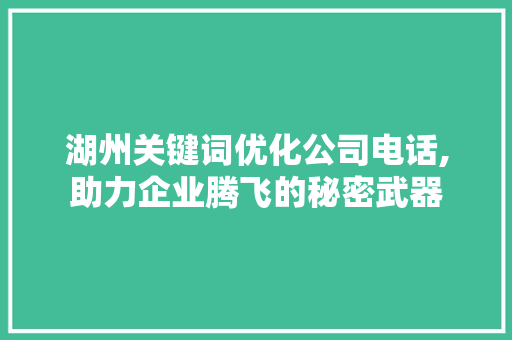 湖州关键词优化公司电话,助力企业腾飞的秘密武器