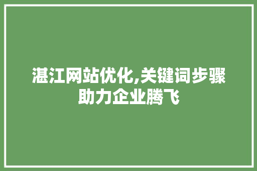 湛江网站优化,关键词步骤助力企业腾飞