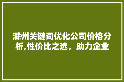 滁州关键词优化公司价格分析,性价比之选，助力企业腾飞