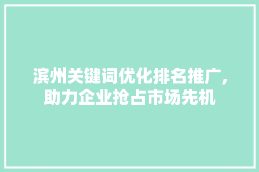 滨州关键词优化排名推广,助力企业抢占市场先机