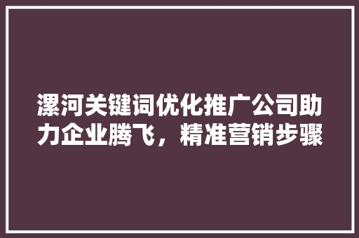 漯河关键词优化推广公司助力企业腾飞，精准营销步骤引领时代潮流