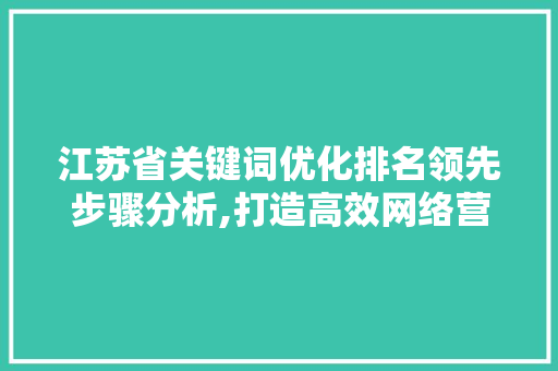 江苏省关键词优化排名领先步骤分析,打造高效网络营销之路