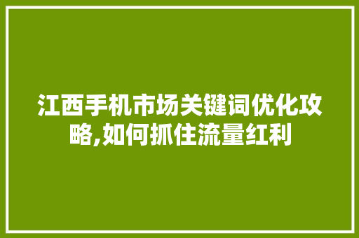 江西手机市场关键词优化攻略,如何抓住流量红利