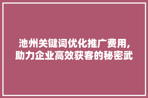 池州关键词优化推广费用,助力企业高效获客的秘密武器