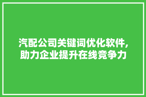 汽配公司关键词优化软件,助力企业提升在线竞争力