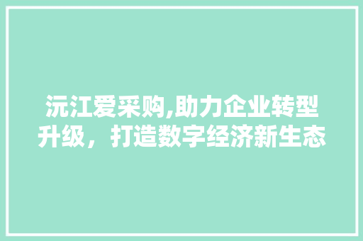 沅江爱采购,助力企业转型升级，打造数字经济新生态