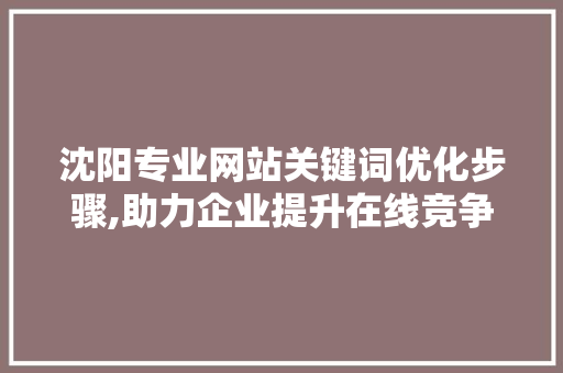 沈阳专业网站关键词优化步骤,助力企业提升在线竞争力