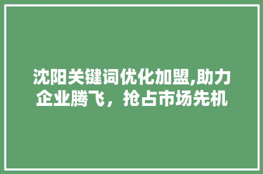 沈阳关键词优化加盟,助力企业腾飞，抢占市场先机