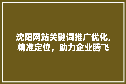 沈阳网站关键词推广优化,精准定位，助力企业腾飞