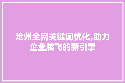 沧州全网关键词优化,助力企业腾飞的新引擎