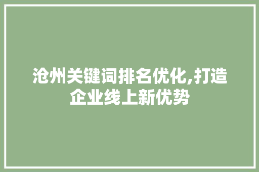 沧州关键词排名优化,打造企业线上新优势