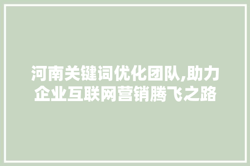 河南关键词优化团队,助力企业互联网营销腾飞之路