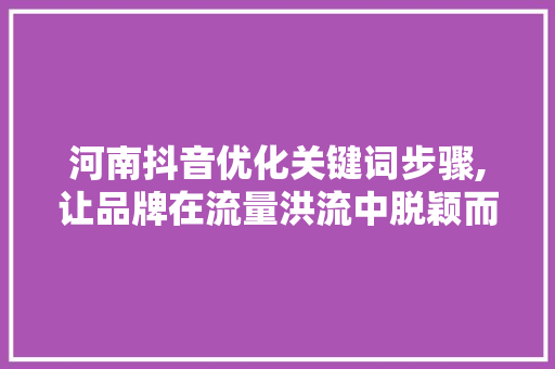 河南抖音优化关键词步骤,让品牌在流量洪流中脱颖而出