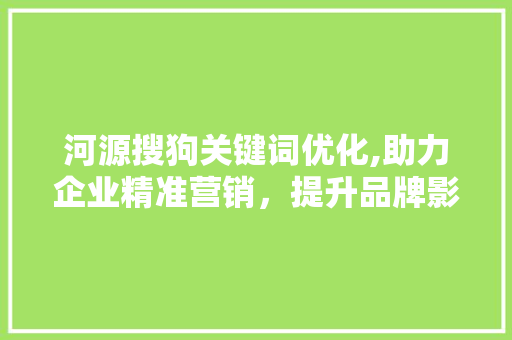 河源搜狗关键词优化,助力企业精准营销，提升品牌影响力