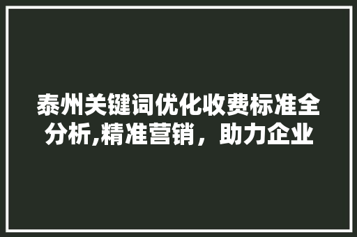 泰州关键词优化收费标准全分析,精准营销，助力企业腾飞