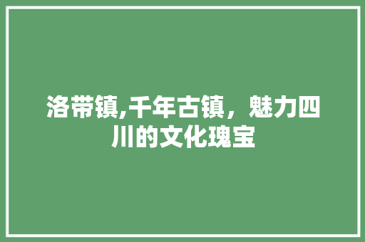 洛带镇,千年古镇，魅力四川的文化瑰宝