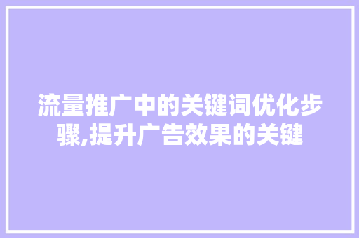 流量推广中的关键词优化步骤,提升广告效果的关键