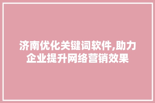 济南优化关键词软件,助力企业提升网络营销效果