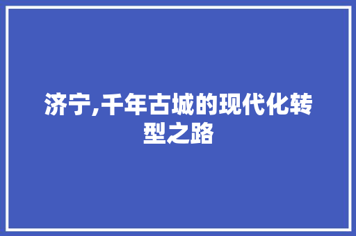 济宁,千年古城的现代化转型之路