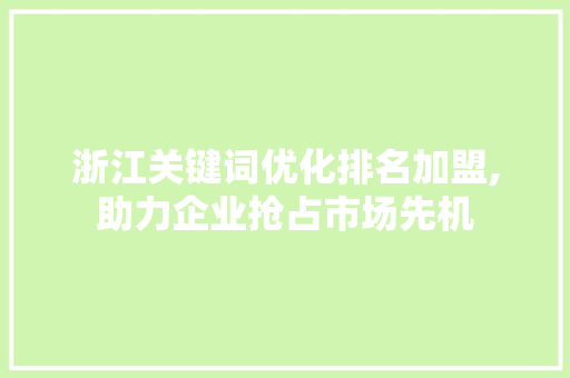 浙江关键词优化排名加盟,助力企业抢占市场先机