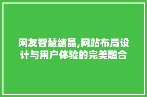 网友智慧结晶,网站布局设计与用户体验的完美融合 网站建设