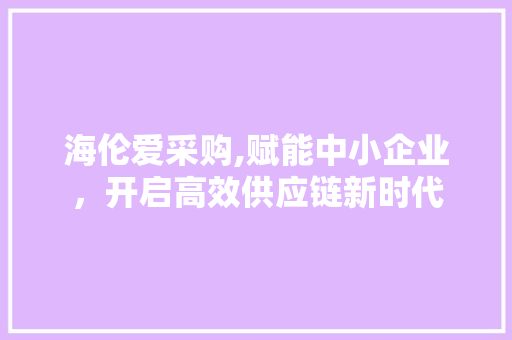 海伦爱采购,赋能中小企业，开启高效供应链新时代
