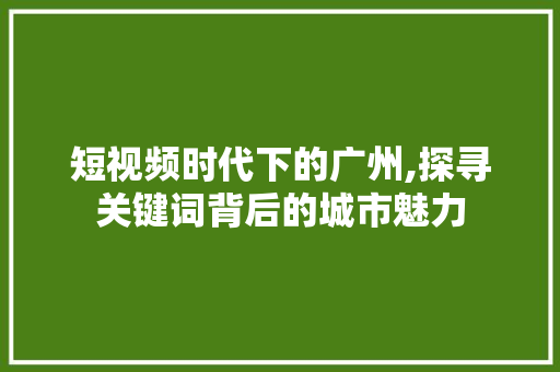短视频时代下的广州,探寻关键词背后的城市魅力