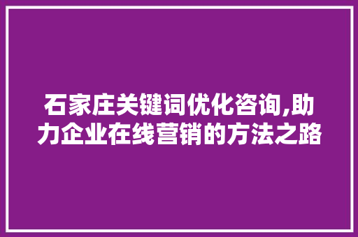 石家庄关键词优化咨询,助力企业在线营销的方法之路