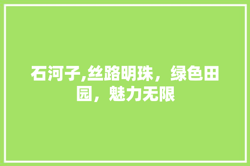 石河子,丝路明珠，绿色田园，魅力无限