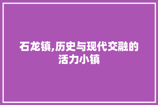 石龙镇,历史与现代交融的活力小镇