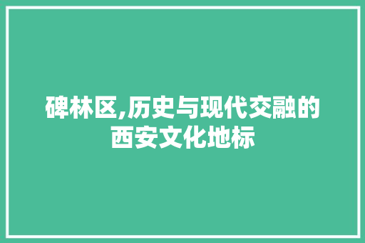 碑林区,历史与现代交融的西安文化地标