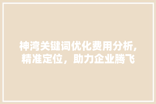 神湾关键词优化费用分析,精准定位，助力企业腾飞