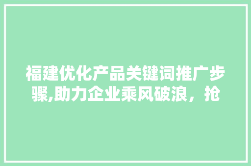 福建优化产品关键词推广步骤,助力企业乘风破浪，抢占市场先机