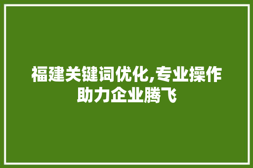 福建关键词优化,专业操作助力企业腾飞