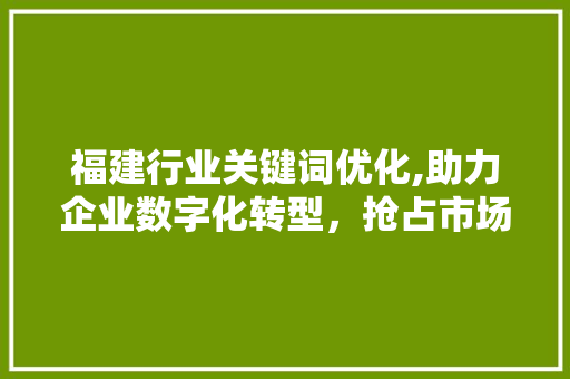 福建行业关键词优化,助力企业数字化转型，抢占市场先机