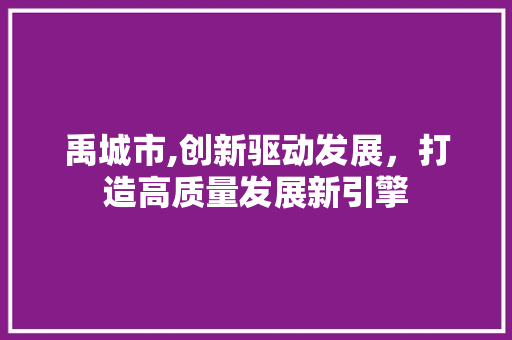 禹城市,创新驱动发展，打造高质量发展新引擎