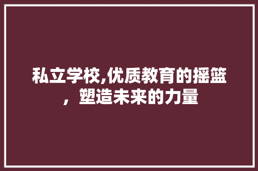 私立学校,优质教育的摇篮，塑造未来的力量