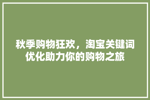 秋季购物狂欢，淘宝关键词优化助力你的购物之旅