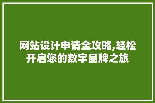 网站设计申请全攻略,轻松开启您的数字品牌之旅 缓存Redis