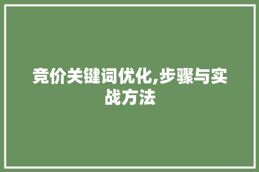 竞价关键词优化,步骤与实战方法
