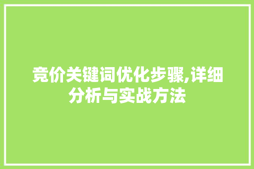 竞价关键词优化步骤,详细分析与实战方法