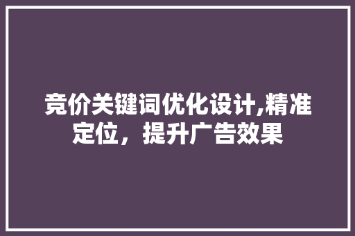 竞价关键词优化设计,精准定位，提升广告效果