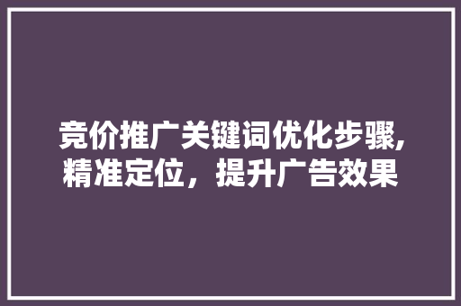 竞价推广关键词优化步骤,精准定位，提升广告效果